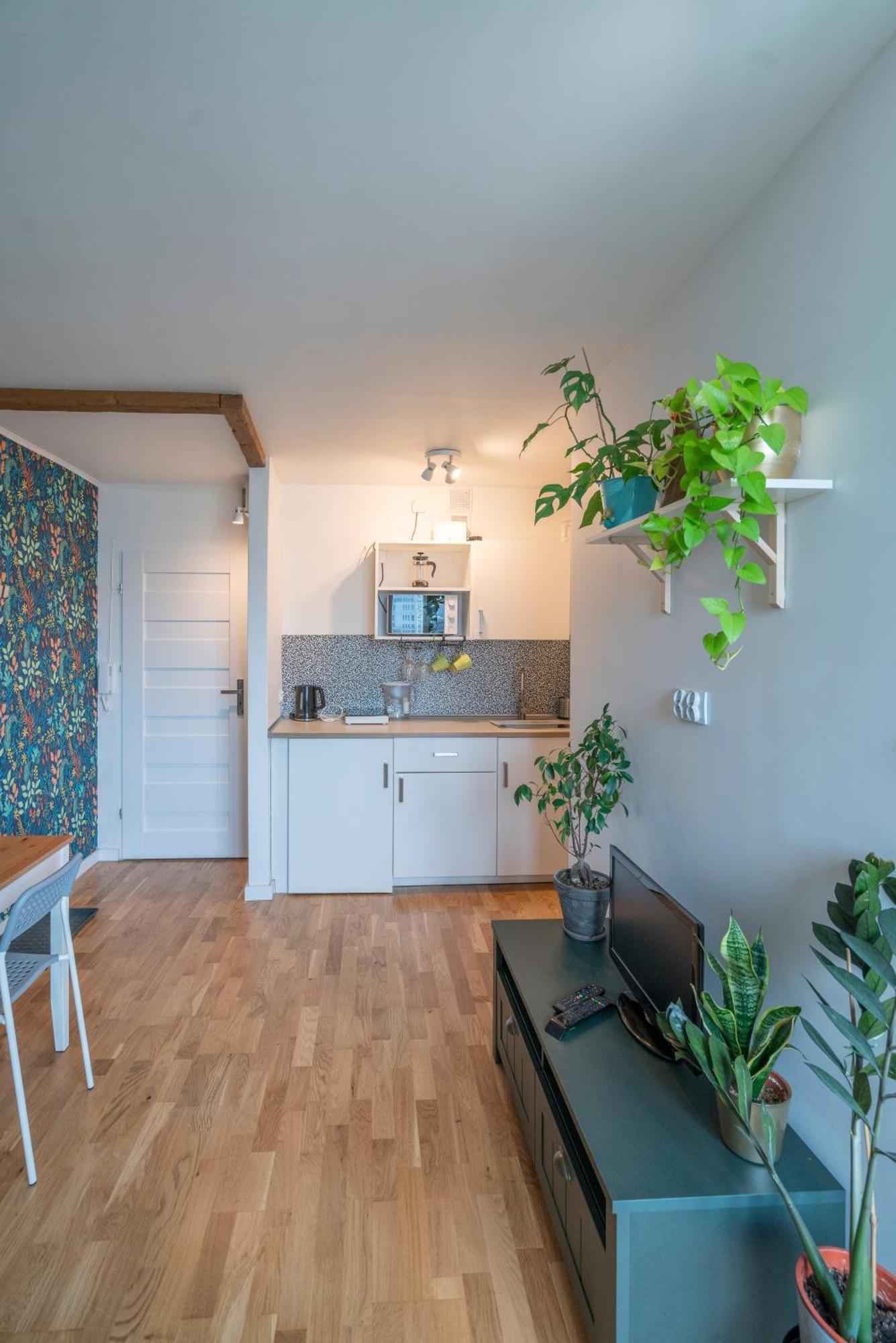 Green Studio In The City Center Of Breslavia Exterior foto